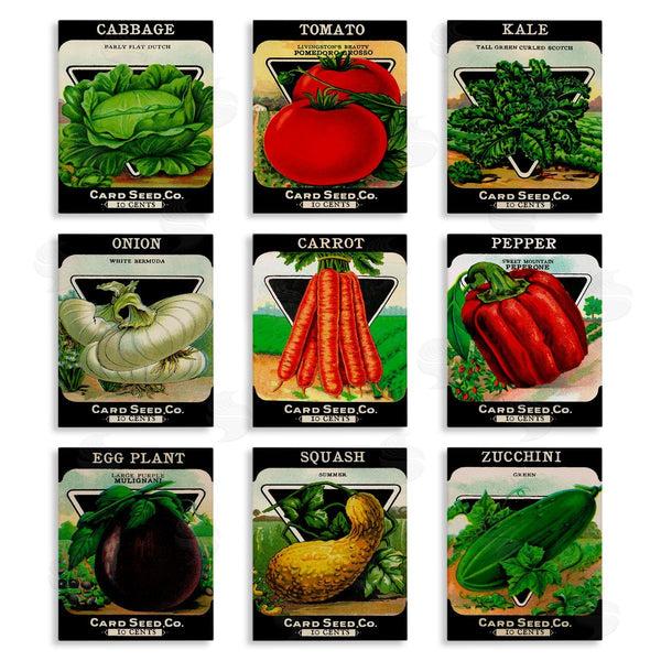 stupell industries Lil' Rue | Vintage Gardening Vegetables Wall Art