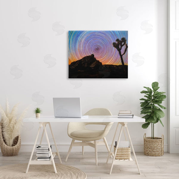 Stupell Industries Lincoln Harrison | Kaleidoscopic Swirl Pattern Sky Desert Tree Silhouette Wall Art