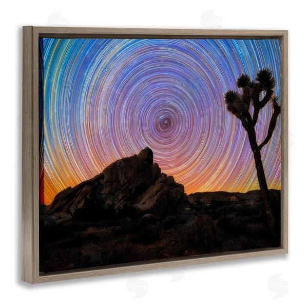 Stupell Industries Lincoln Harrison | Kaleidoscopic Swirl Pattern Sky Desert Tree Silhouette Wall Art