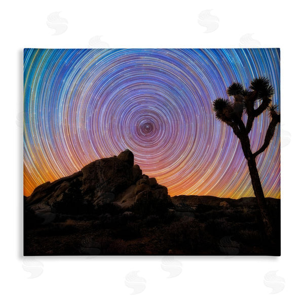 stupell industries Lincoln Harrison | Kaleidoscopic Swirl Pattern Sky Desert Tree Silhouette Wall Art