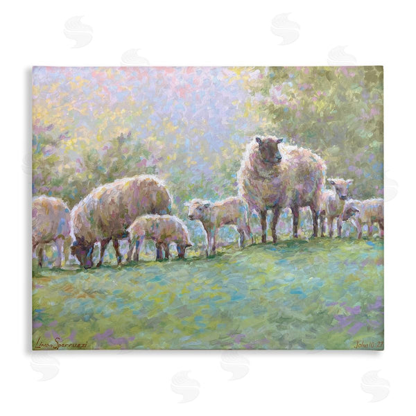 stupell industries Linda Sperruzzi | Misty Morning Sheep on Hill