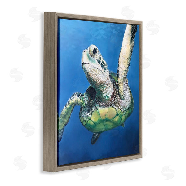 Stupell Industries Linda Sperruzzi | Sheldon Turtle Portrait Painting