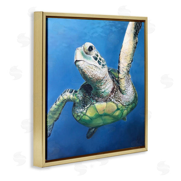 Stupell Industries Linda Sperruzzi | Sheldon Turtle Portrait Painting