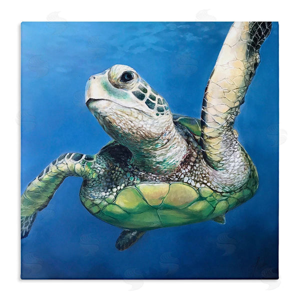 stupell industries Linda Sperruzzi | Sheldon Turtle Portrait Painting