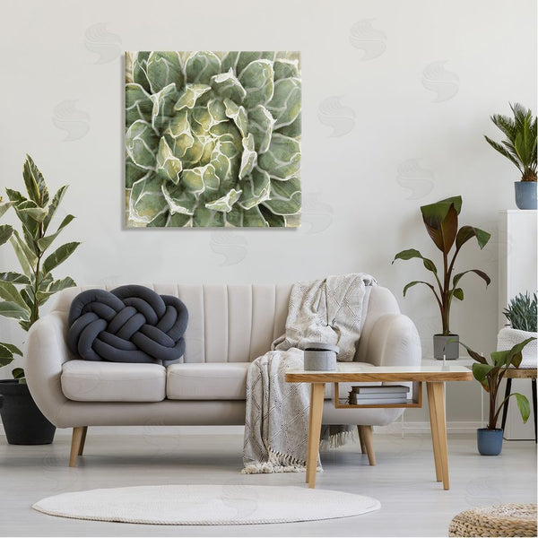 Stupell Industries Lindsay Benson | Green Botanical Plant Leaves Wall Art