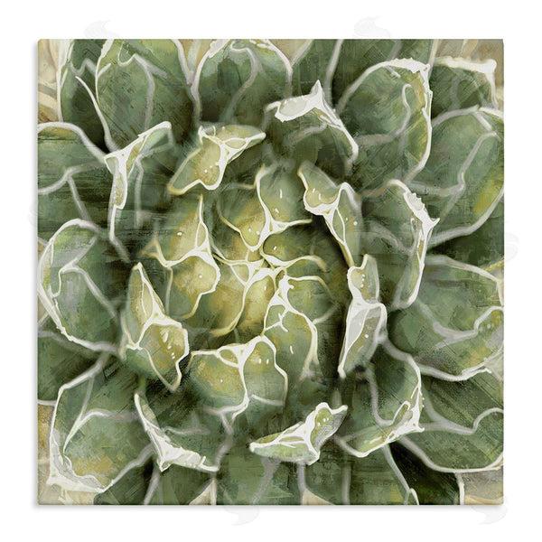 stupell industries Lindsay Benson | Green Botanical Plant Leaves Wall Art