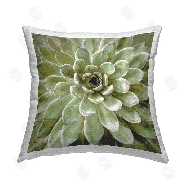 Stupell Industries Lindsay Benson | Green Succulent Plant Nature Leaves Printed Throw Pillow