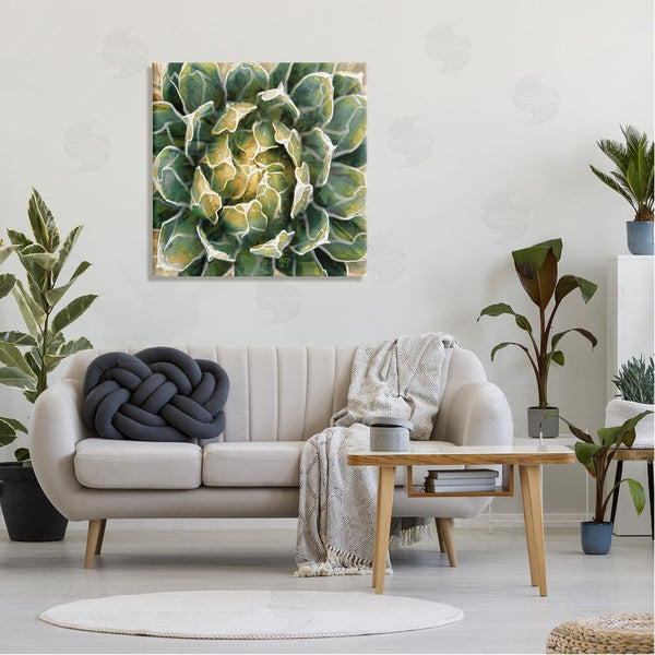Stupell Industries Lindsay Benson | Leafy Succulent Plant Nature Wall Art