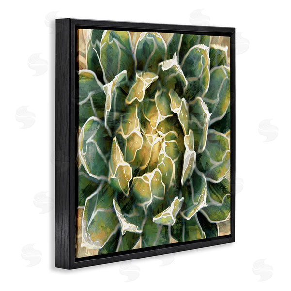 Stupell Industries Lindsay Benson | Leafy Succulent Plant Nature Wall Art