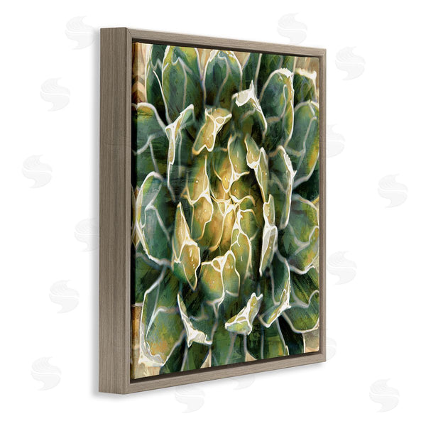 Stupell Industries Lindsay Benson | Leafy Succulent Plant Nature Wall Art