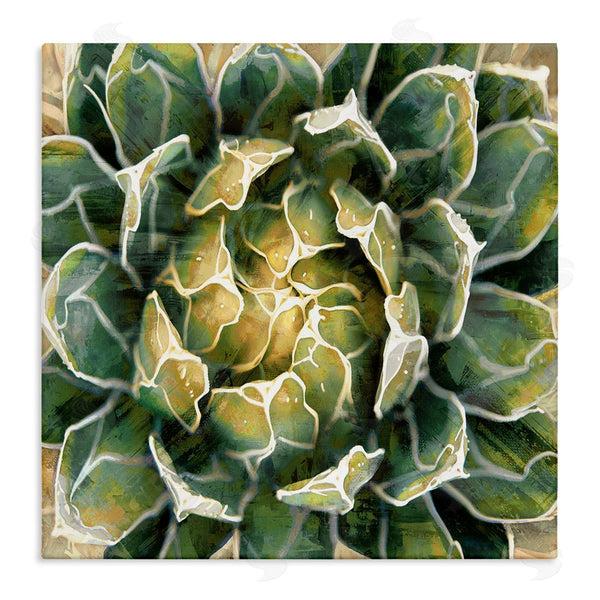 stupell industries Lindsay Benson | Leafy Succulent Plant Nature Wall Art