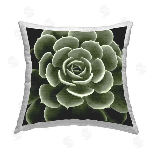 Stupell Industries Lindsay Benson | Succulent Leaves Botanical Plant Printed Throw Pillow
