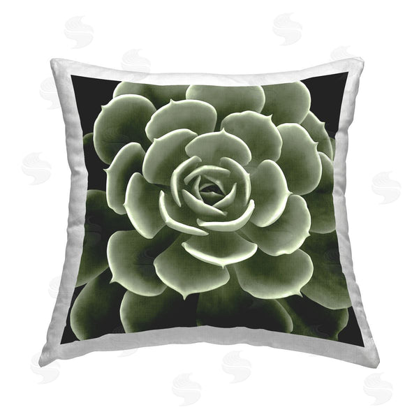stupell industries Lindsay Benson | Succulent Leaves Botanical Plant Printed Throw Pillow