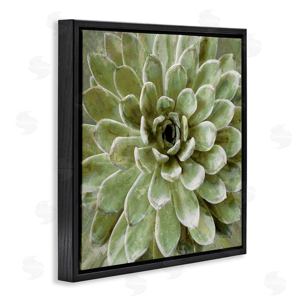Stupell Industries Lindsay Benson | Succulent Plant Abstract View Wall Art