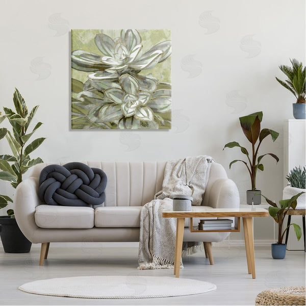 Stupell Industries Lindsay Benson | Succulent Plant Leaves Blooming Wall Art