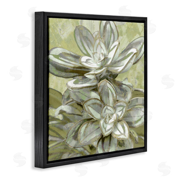 Stupell Industries Lindsay Benson | Succulent Plant Leaves Blooming Wall Art
