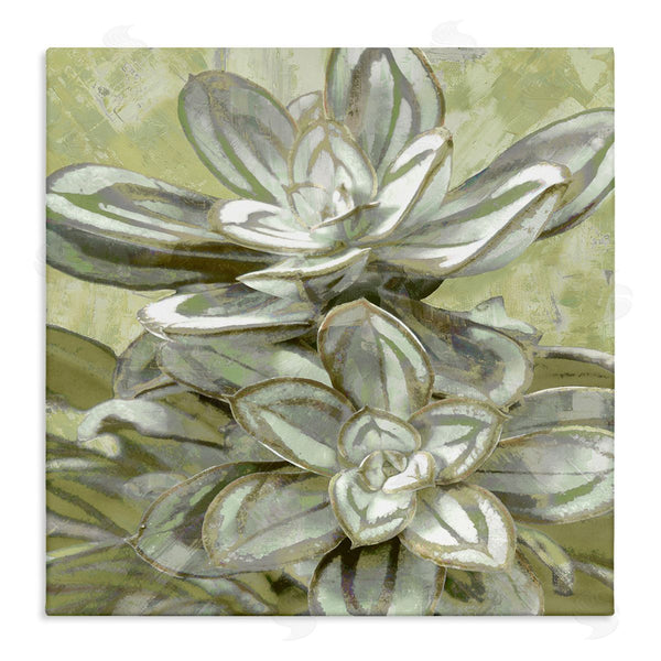 stupell industries Lindsay Benson | Succulent Plant Leaves Blooming Wall Art