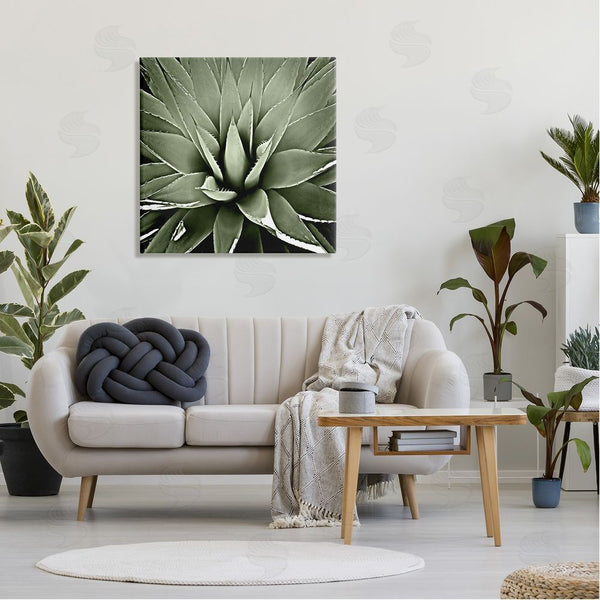 Stupell Industries Lindsay Benson | Succulent Plant Lush Leaves Wall Art
