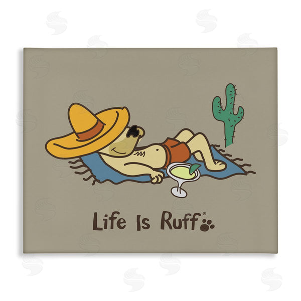 stupell industries LIR | Siesta Dog in Desert Wall Art