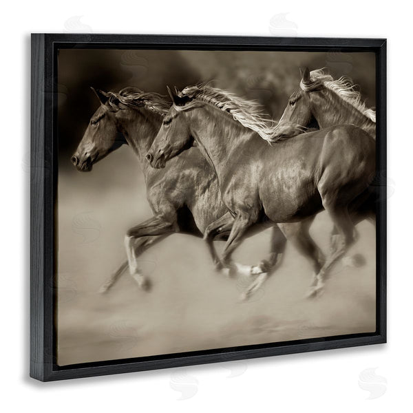 Stupell Industries Lisa Dearing | Galloping Horse Herd Trotting Wild Animal Photography Wall Art