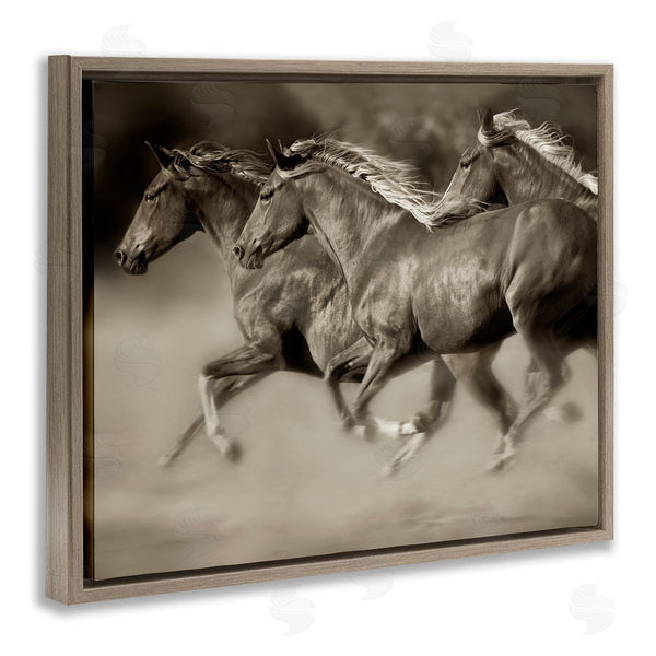 Stupell Industries Lisa Dearing | Galloping Horse Herd Trotting Wild Animal Photography Wall Art
