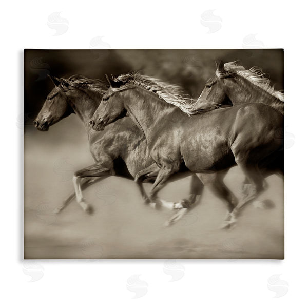 stupell industries Lisa Dearing | Galloping Horse Herd Trotting Wild Animal Photography Wall Art