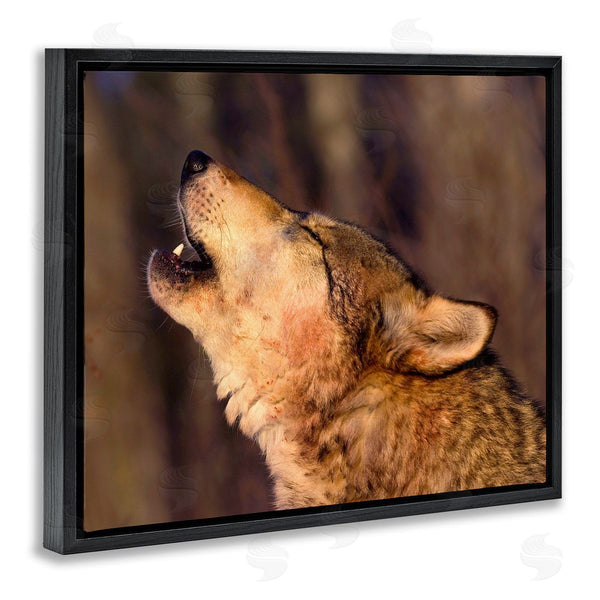 Stupell Industries Lisa Dearing | Howling Wolf Photography Wall Art