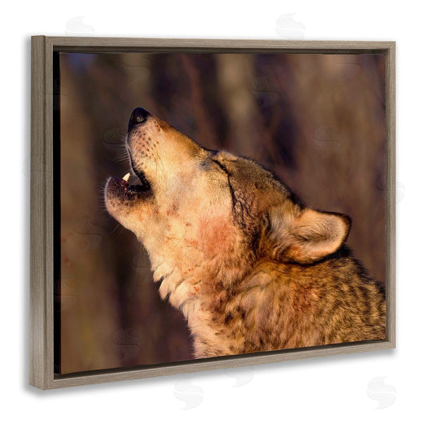 Stupell Industries Lisa Dearing | Howling Wolf Photography Wall Art