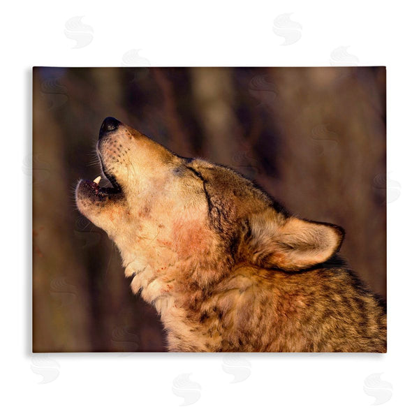 stupell industries Lisa Dearing | Howling Wolf Photography Wall Art