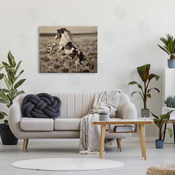 Stupell Industries Lisa Dearing | Rearing Spotted Horse Rural Countryside Field Photography Wall Art