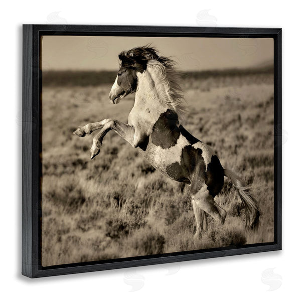 Stupell Industries Lisa Dearing | Rearing Spotted Horse Rural Countryside Field Photography Wall Art