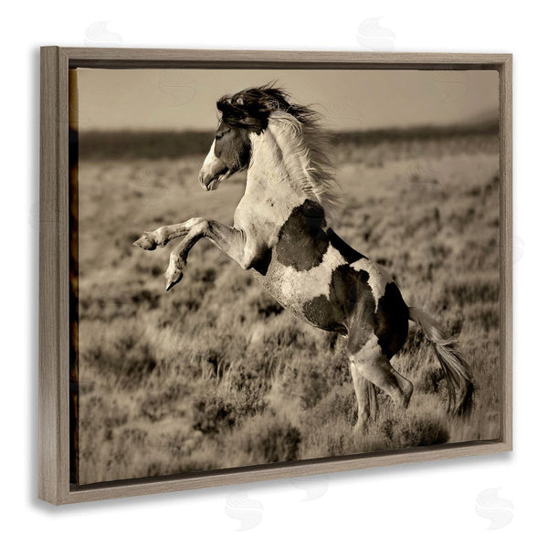 Stupell Industries Lisa Dearing | Rearing Spotted Horse Rural Countryside Field Photography Wall Art