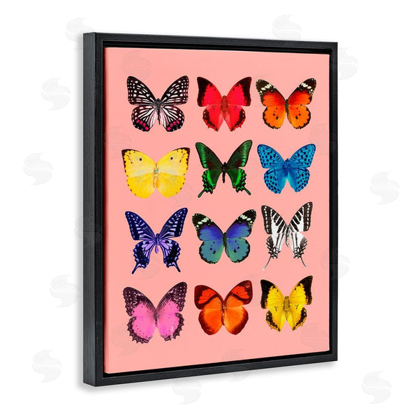 Stupell Industries LISH Creative | Butterfly Species On Pink Wall Art