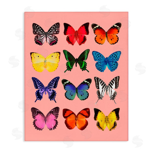 stupell industries LISH Creative | Butterfly Species on Pink Wall Art