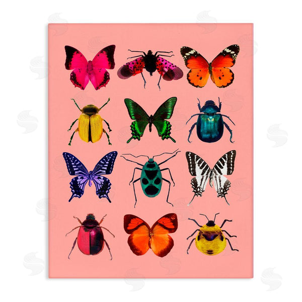 stupell industries LISH Creative | Colorful Bug Species on Pink Wall Art