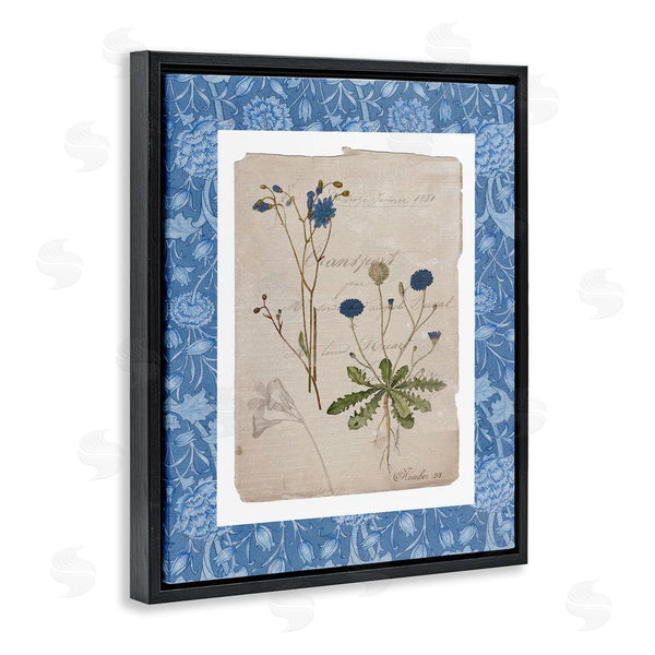 Stupell Industries Livi Finn | Blue Antique Herbs Wall Art