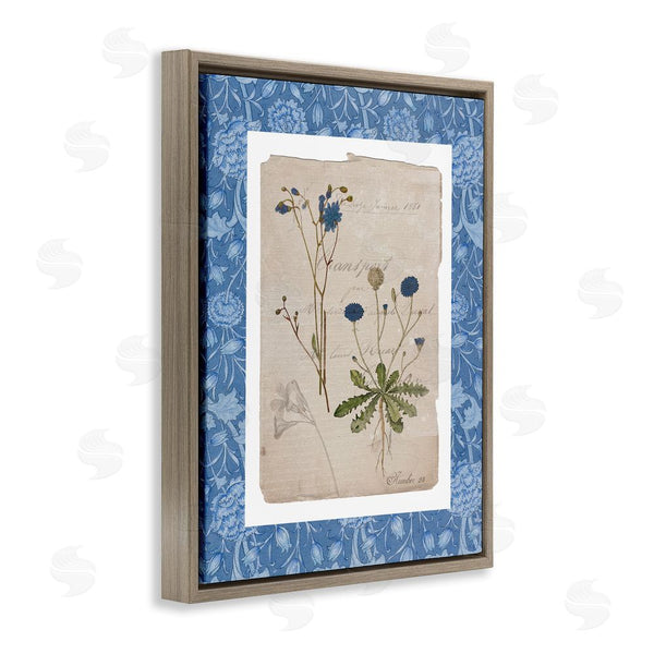 Stupell Industries Livi Finn | Blue Antique Herbs Wall Art