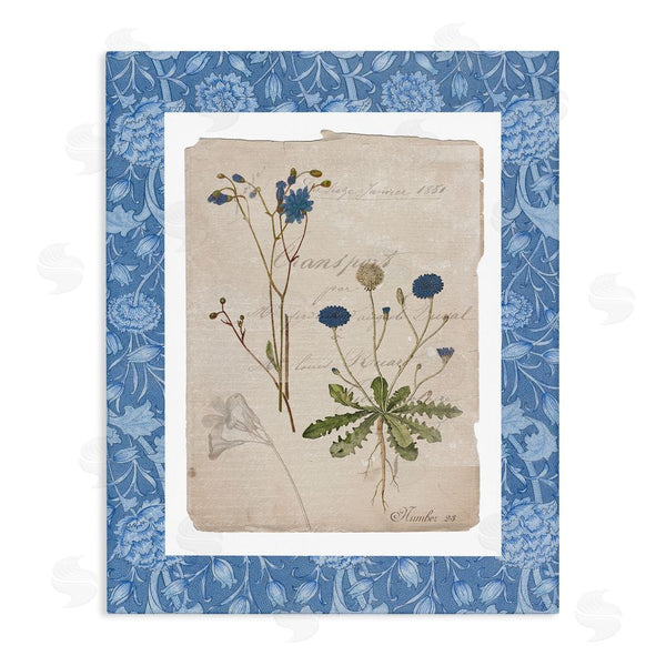 stupell industries Livi Finn | Blue Antique Herbs Wall Art