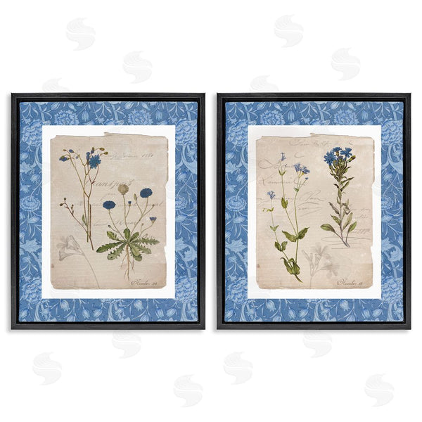 Stupell Industries Livi Finn | Blue Botanical Herbs Wall Art