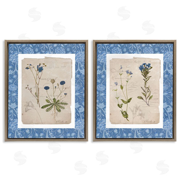 Stupell Industries Livi Finn | Blue Botanical Herbs Wall Art