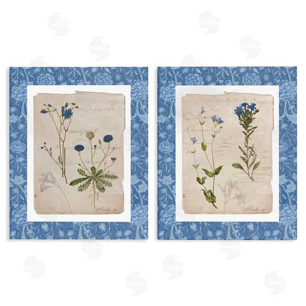 stupell industries Livi Finn | Blue Botanical Herbs Wall Art