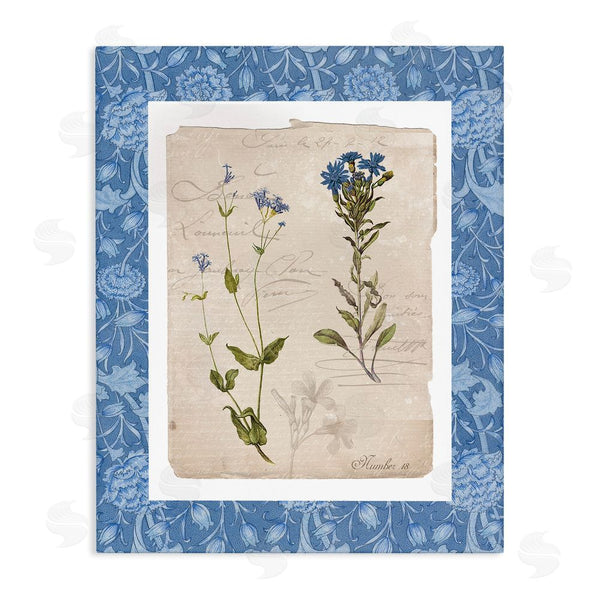 stupell industries Livi Finn | Blue Vintage Botanicals Wall Art