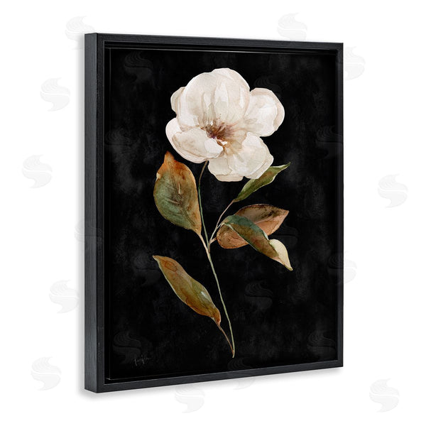 Stupell Industries Livi Finn | White Bloom On Black Wall Art
