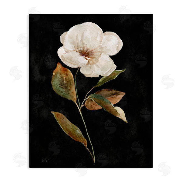 stupell industries Livi Finn | White Bloom on Black Wall Art