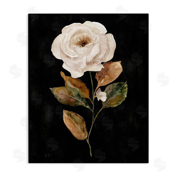 stupell industries Livi Finn | White Rose on Black Wall Art