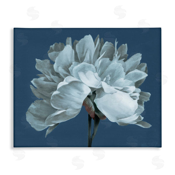 stupell industries Liz Jardine | Contemporary White Bloom Single Flower Sprig Wall Art