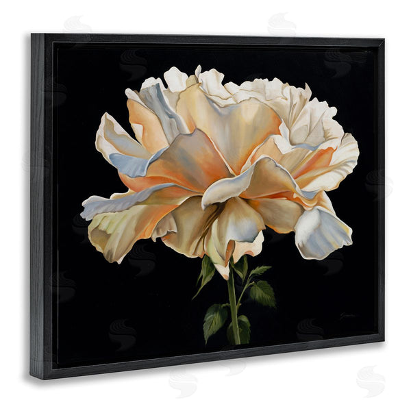 Stupell Industries Liz Jardine | Delicate Carnation Petals Over Black Wall Art