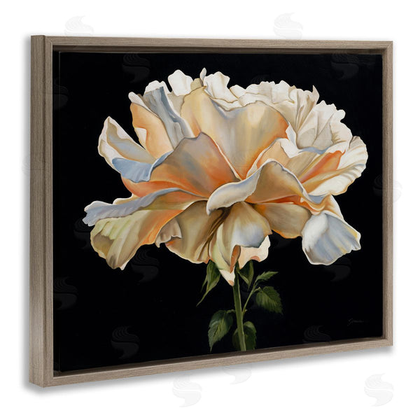 Stupell Industries Liz Jardine | Delicate Carnation Petals Over Black Wall Art