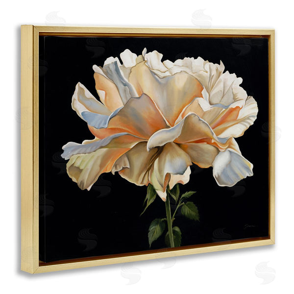 Stupell Industries Liz Jardine | Delicate Carnation Petals Over Black Wall Art