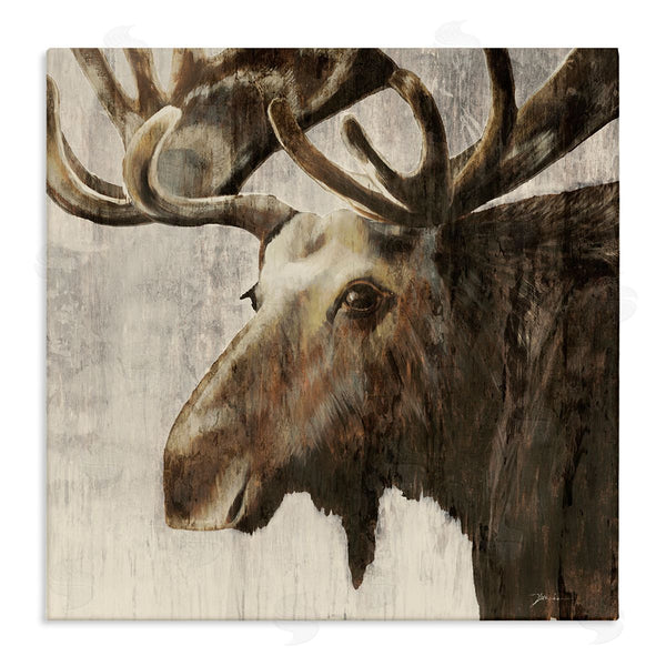 stupell industries Liz Jardine | Forest Moose Distressed